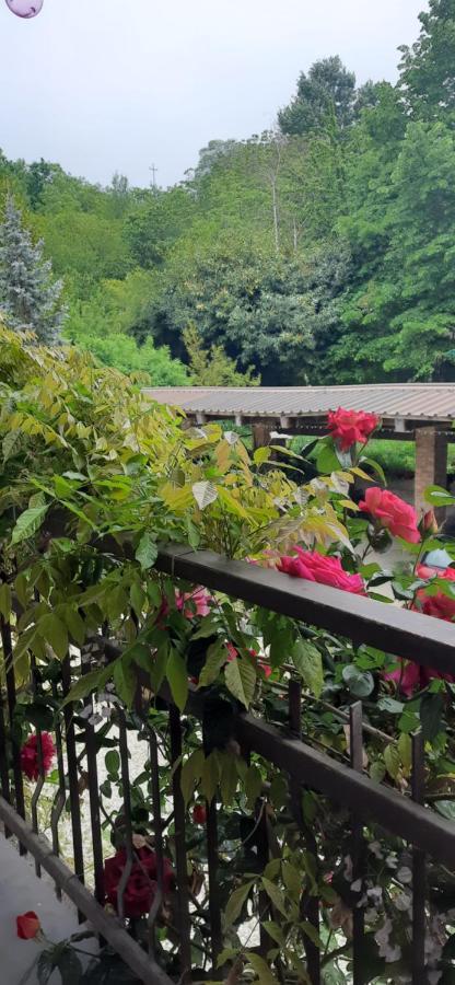 Il Giardino Del Gallo Cherasco Exterior foto