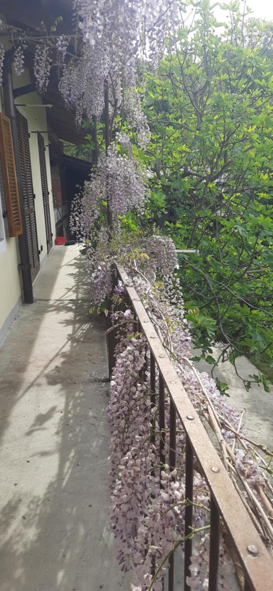 Il Giardino Del Gallo Cherasco Exterior foto