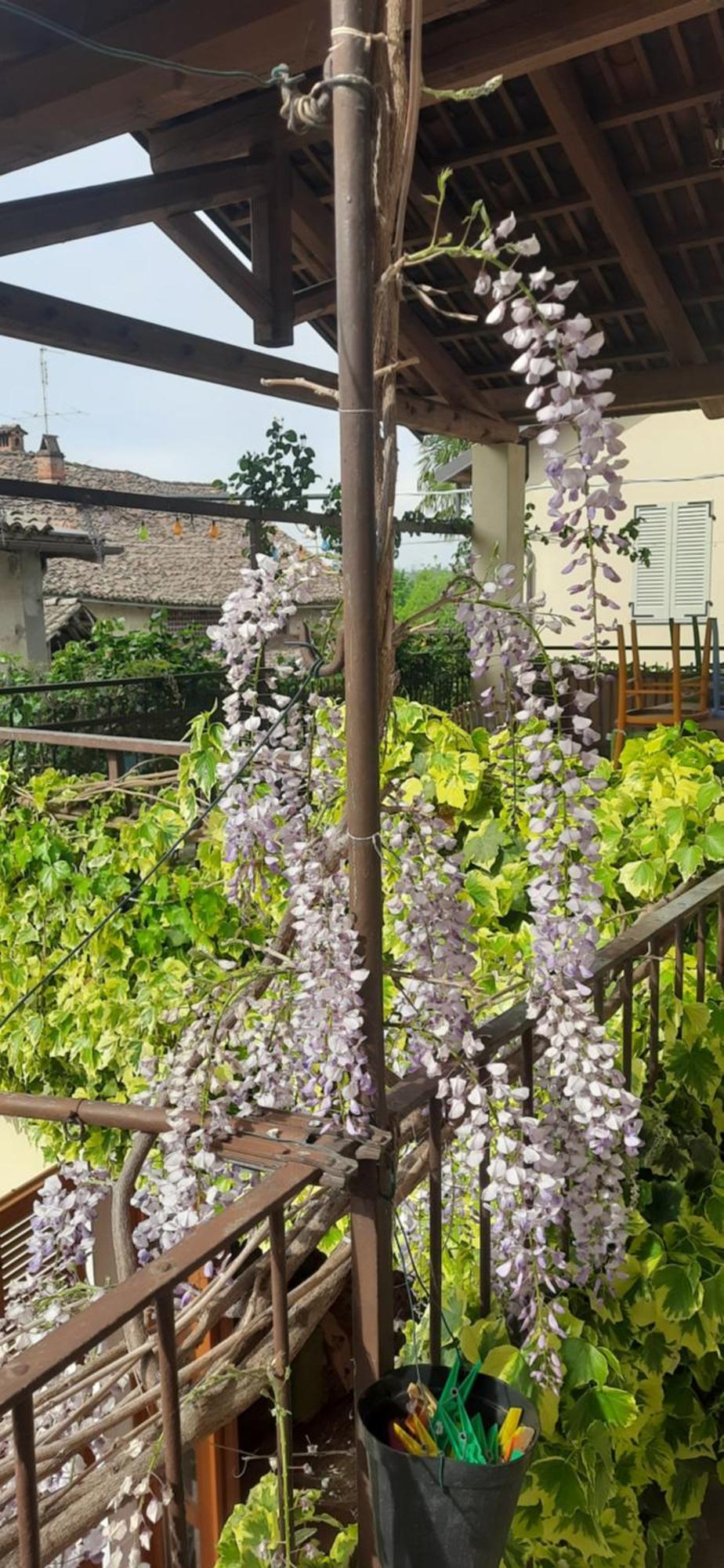 Il Giardino Del Gallo Cherasco Exterior foto
