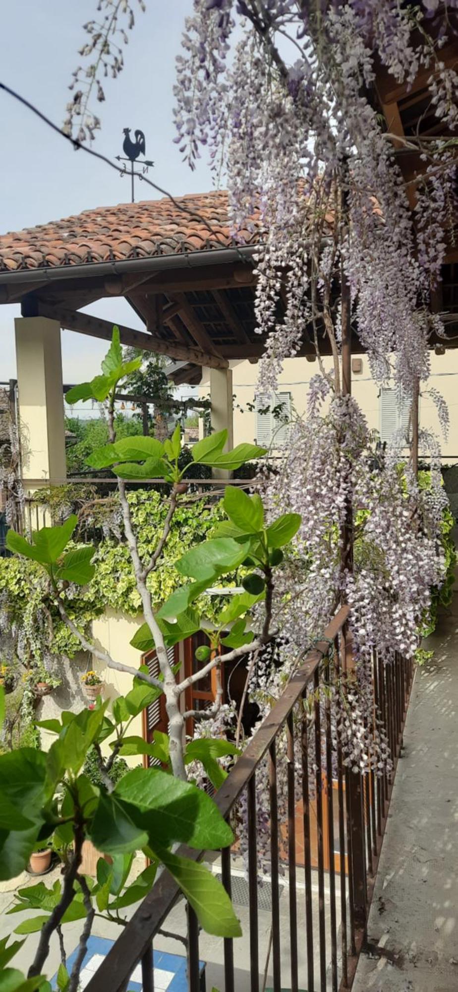 Il Giardino Del Gallo Cherasco Exterior foto